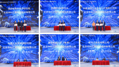 我用AI数智生命、成绩未